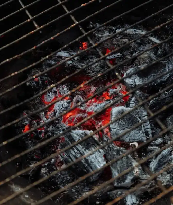 braises barbecue charbon cuisson poulet indirecte